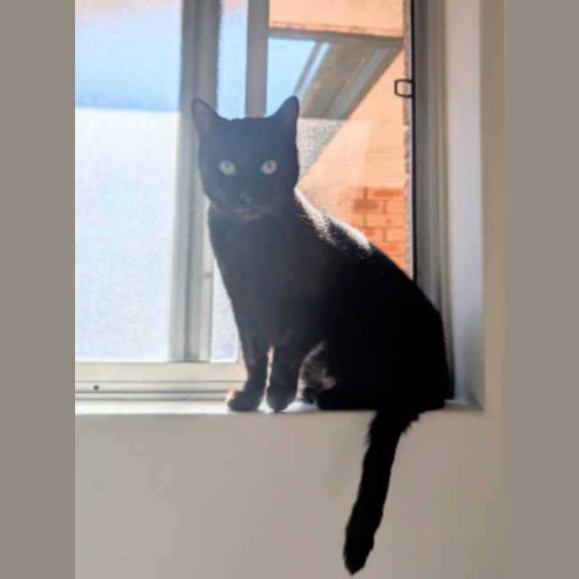 Photo of Lucy