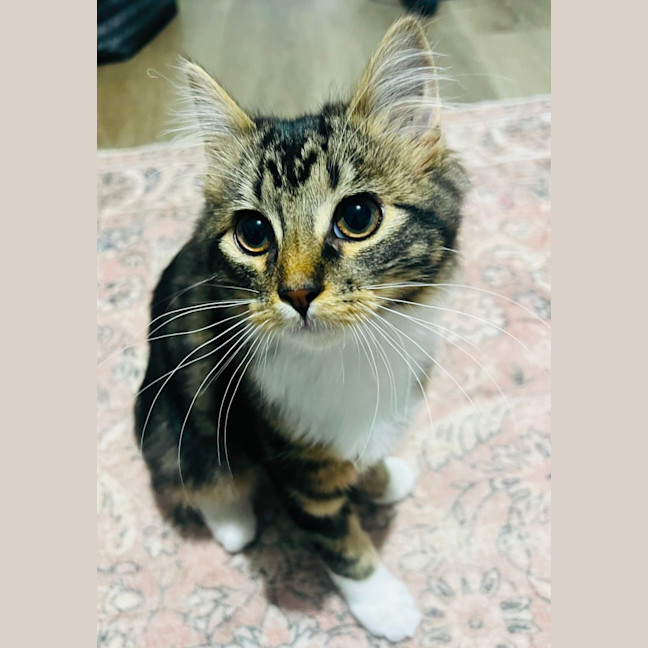 Photo of Morgan   Located In Grantville