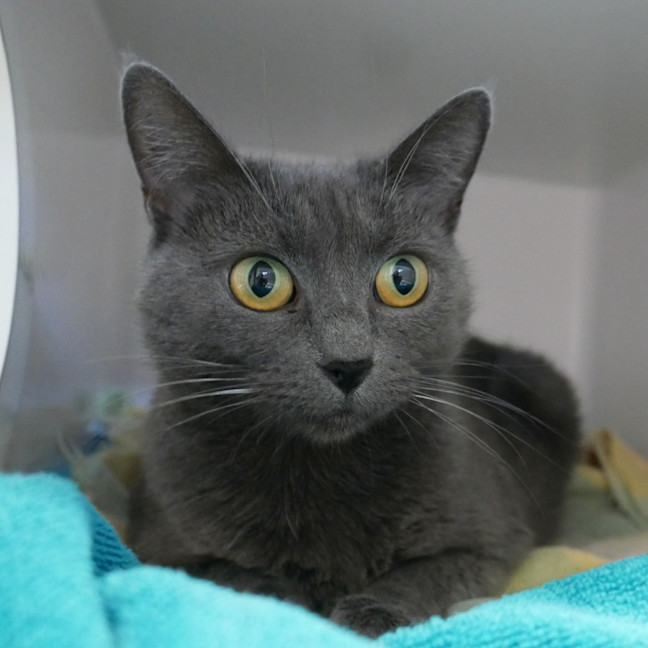 Photo of Maggie Sta015219