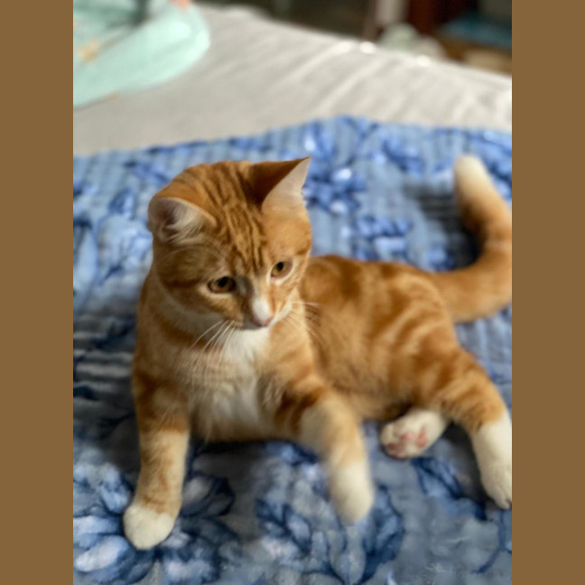 Photo of Rory