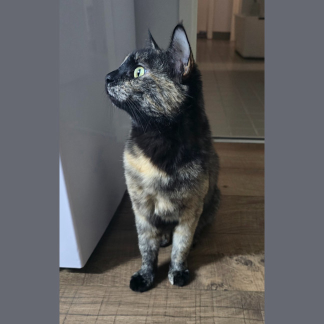Photo of Baby