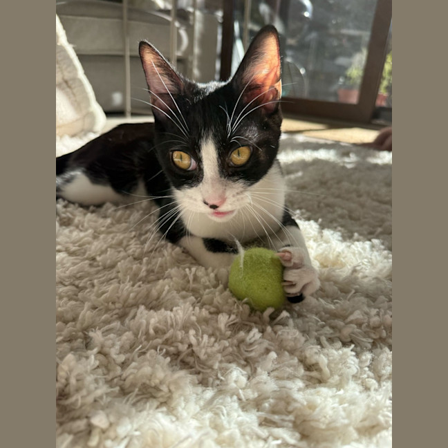 Photo of Buster