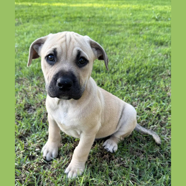 Photo of Jetsam John