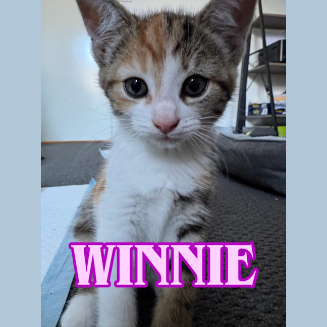 Photo of Winnie
