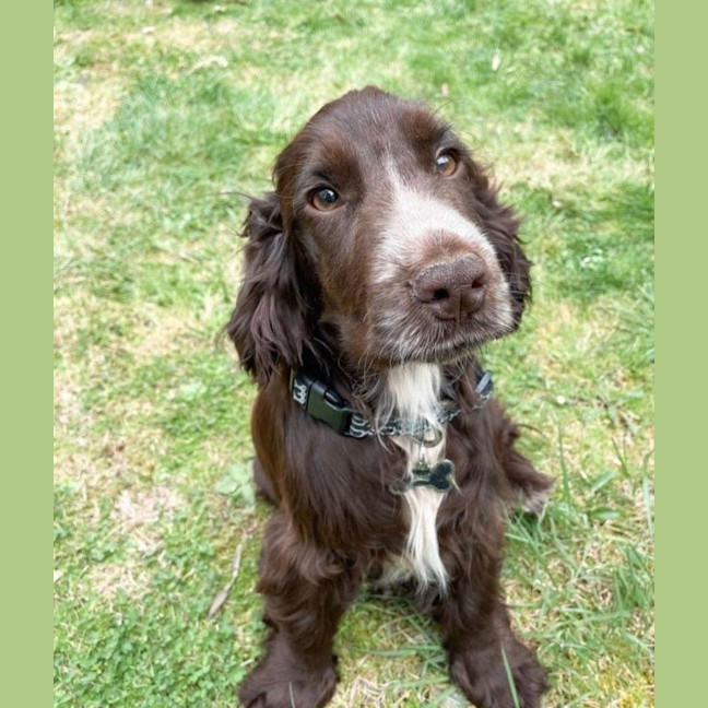 Photo of Khai Illingworth