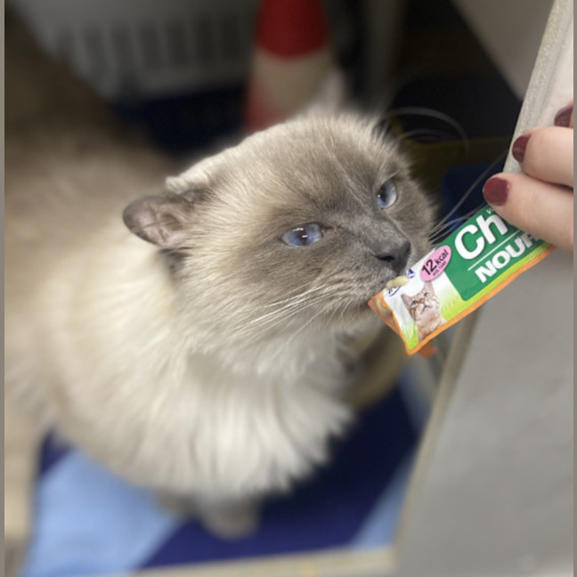 Photo of Floyd
