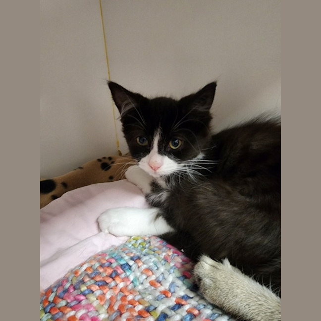 Photo of Andre And Gabby