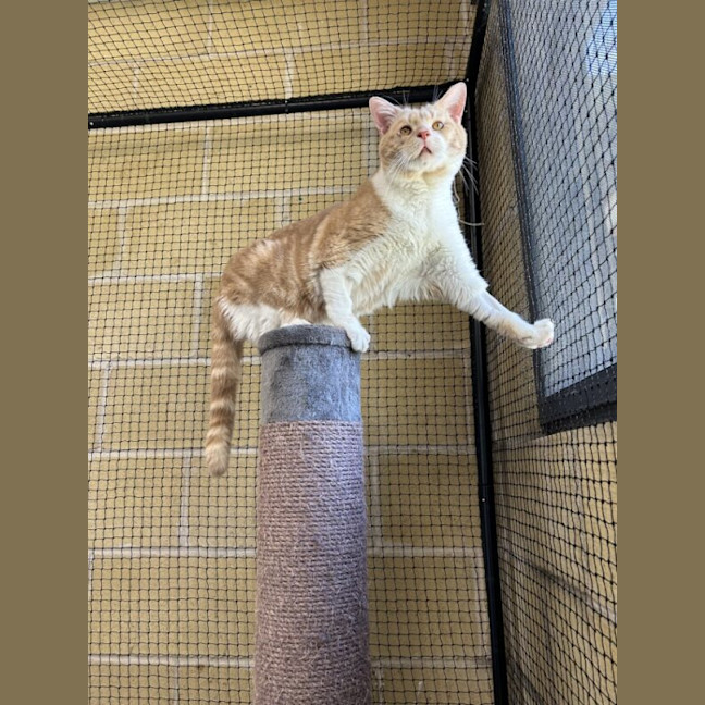 Photo of Arthur