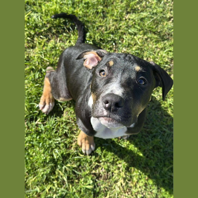 Photo of 🧭 Freddie 6359 🧭