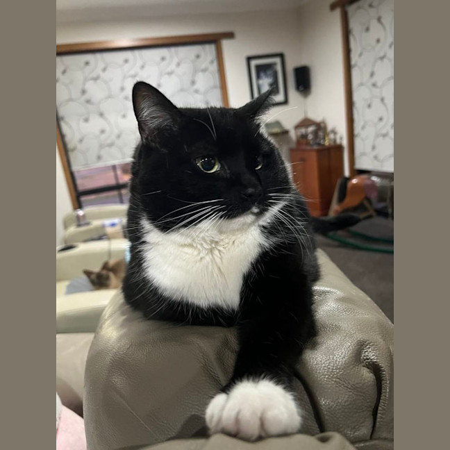 Photo of Nikita Aka Nikki