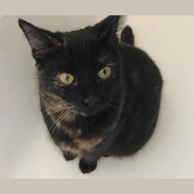 Photo of Stanley & Rosie