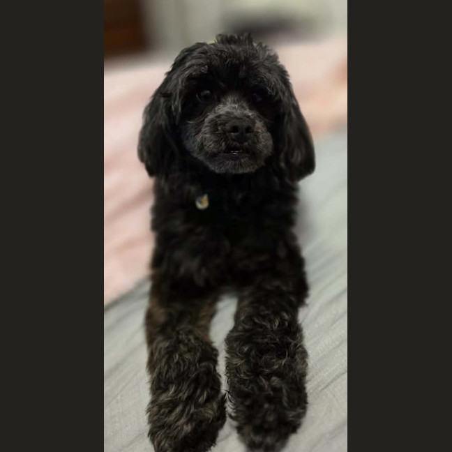 Photo of Roxi