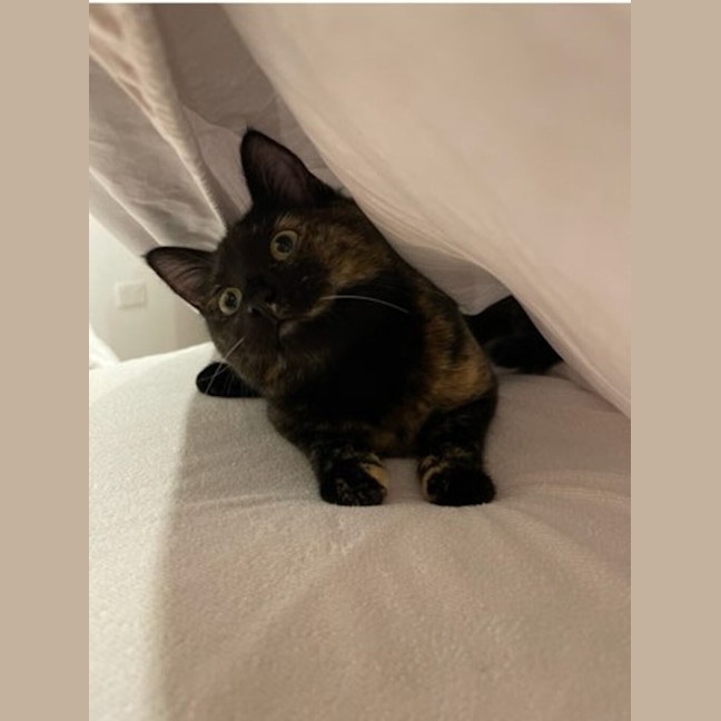 Photo of Abby 