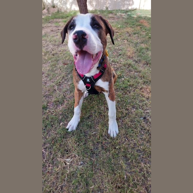 Photo of Bingo