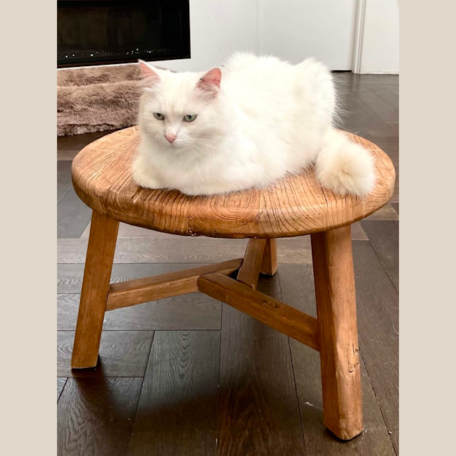 Photo of Max