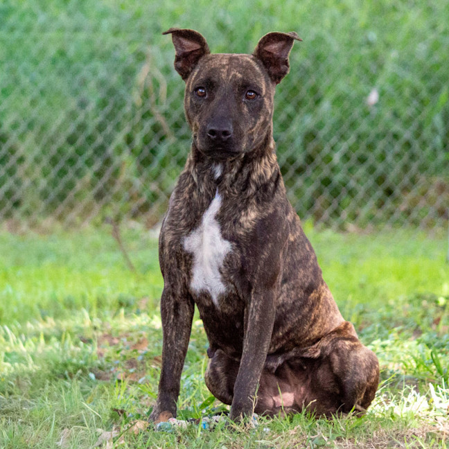 Photo of Moira