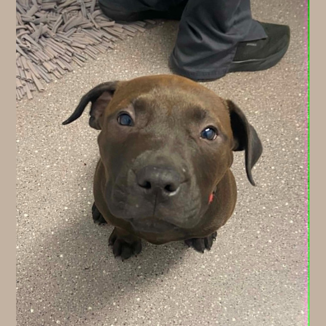 Photo of Hershey