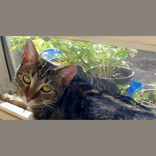 Photo of Shanti