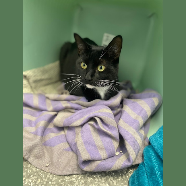 Photo of Cinnamon & Benny