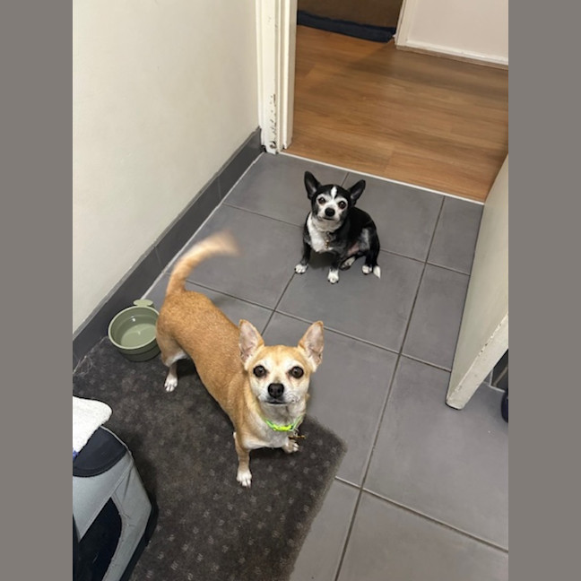 Photo of Bonnie Parker & Clyde Barrow