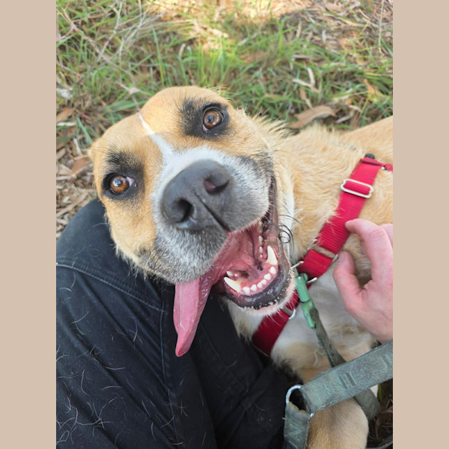Photo of Tilly