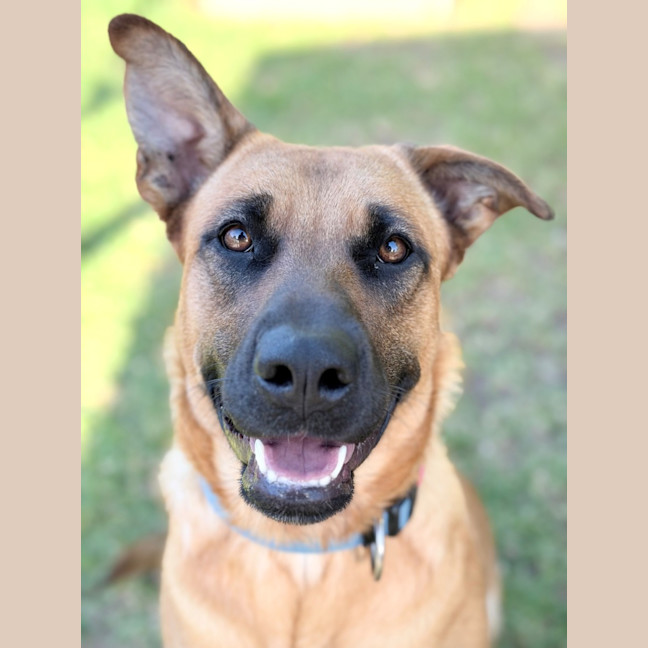 Photo of Daisy
