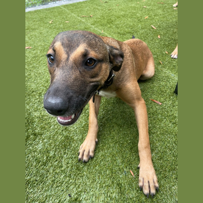 Photo of D1117 Katia