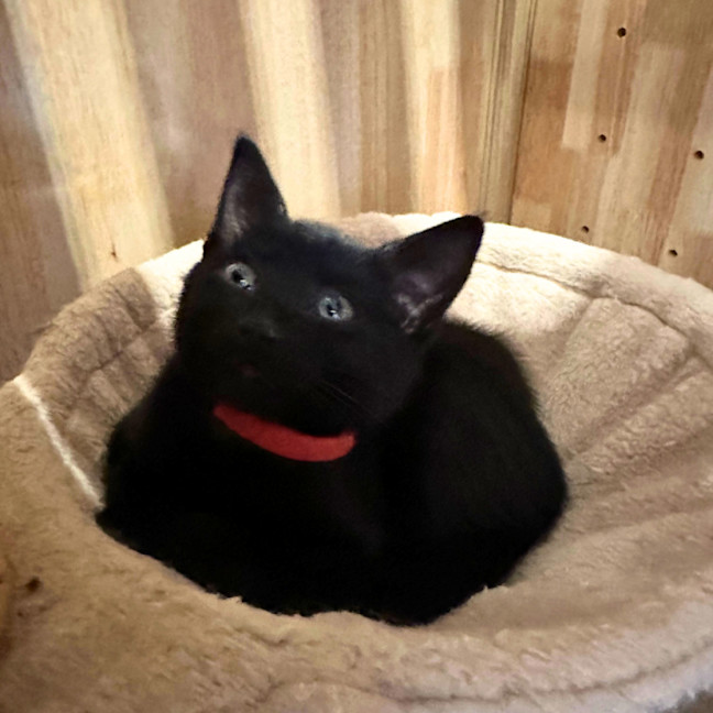 Photo of ❤️ Ravi ❤️