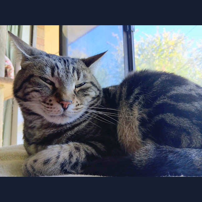 Photo of Charlie