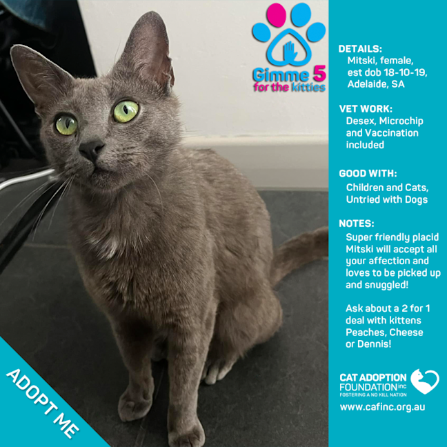 Photo of Mitski Only $40 Limited Time!