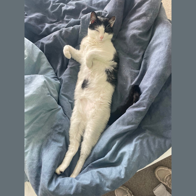 Photo of Tom