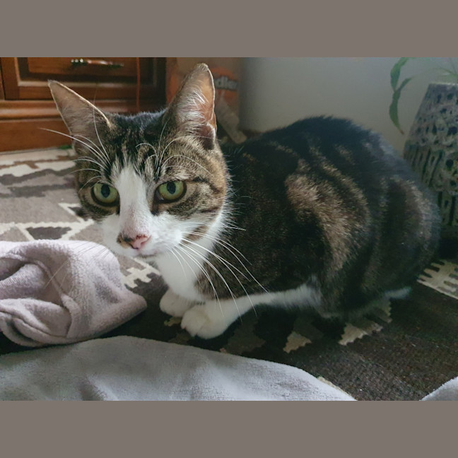 Photo of Boots