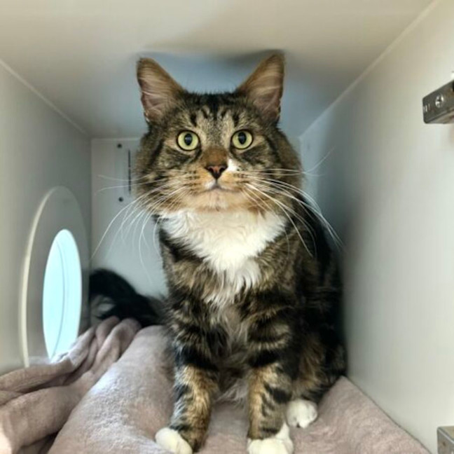 Photo of Cash