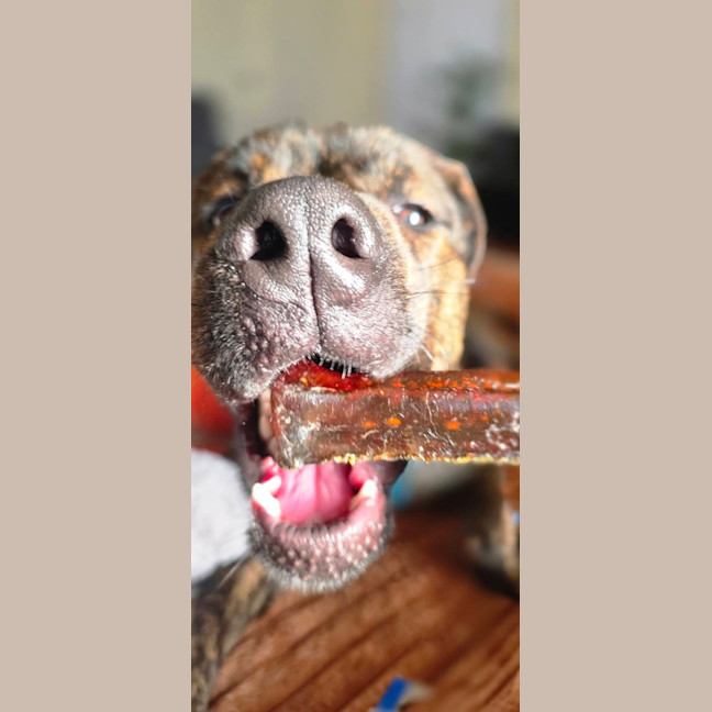Photo of Walter