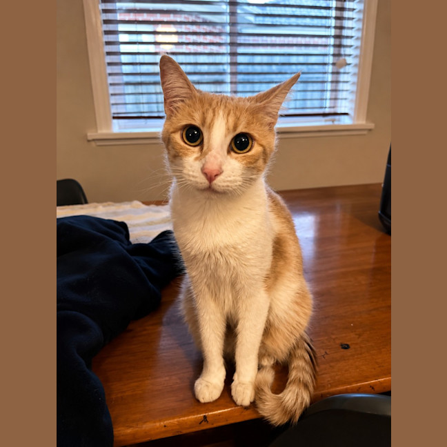 Photo of Sandy