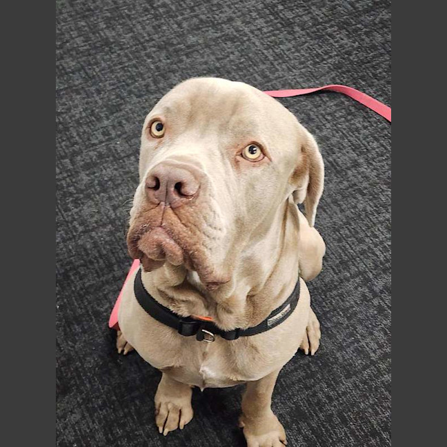 Photo of Clyde