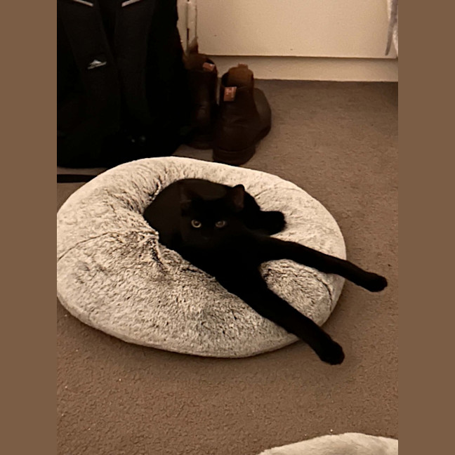 Photo of Crackle