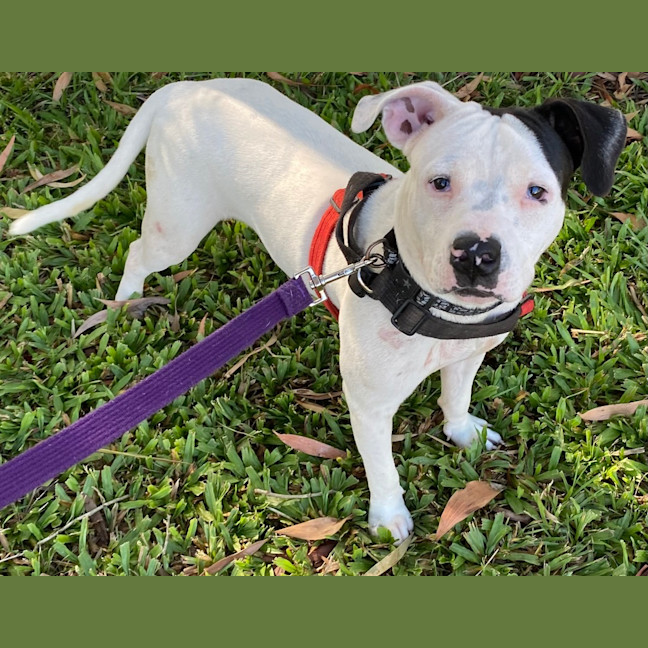 Photo of Mabel