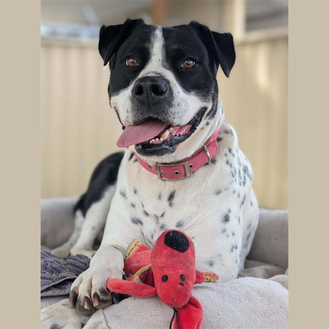 Photo of Penelope