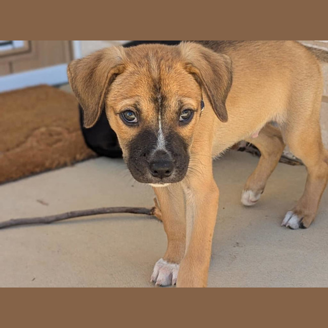 Photo of Gecko Moria