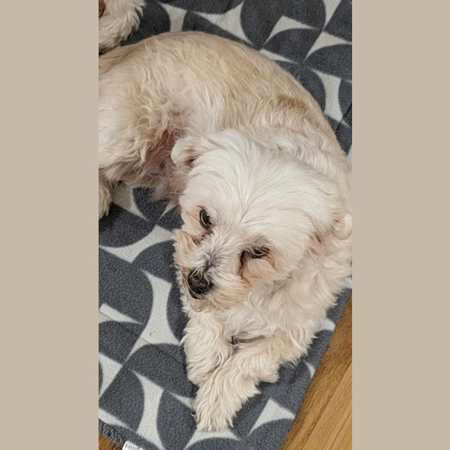 Photo of Bianca / Stella