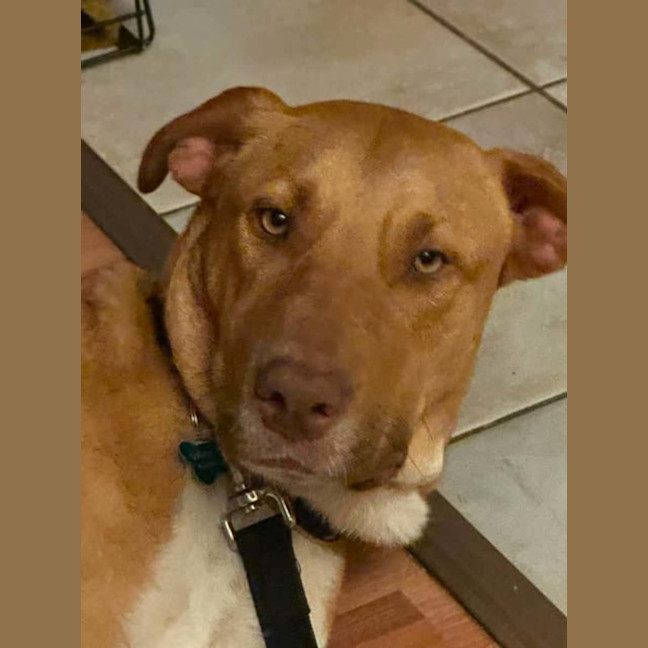Photo of Reggie