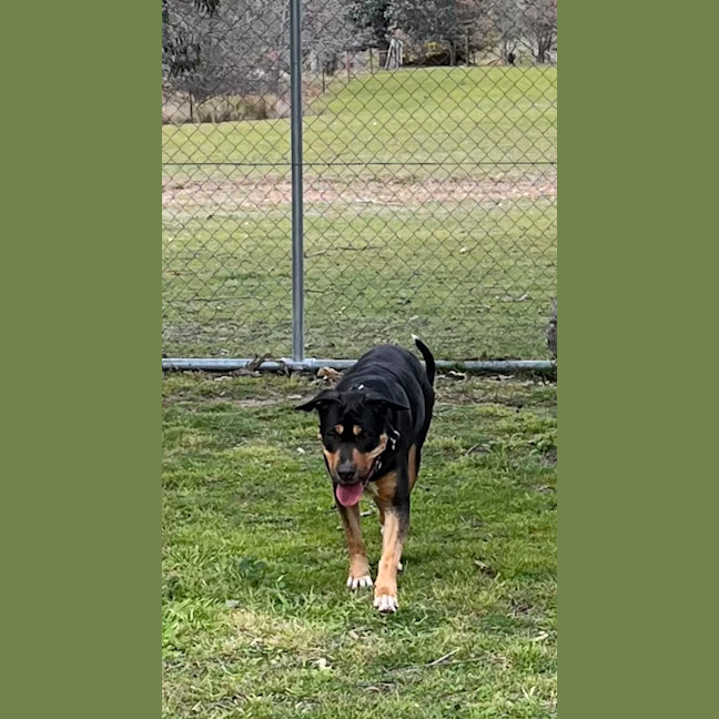 Photo of Suzie