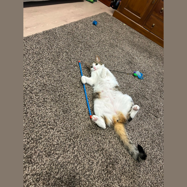 Photo of Pippy