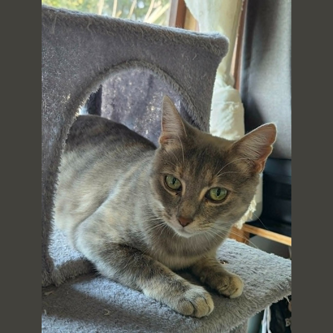 Photo of Luna
