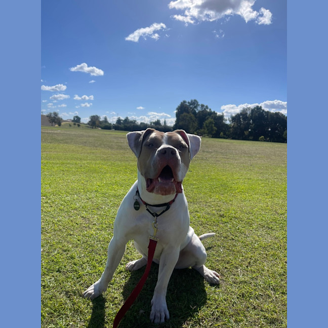 Photo of Bellie