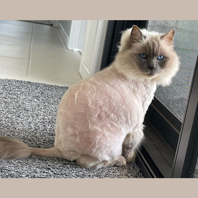 Photo of C1344 Chloe