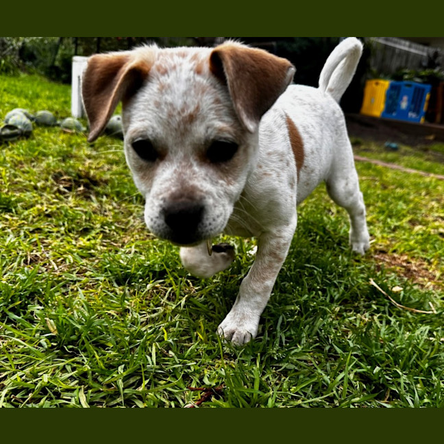 Photo of Mimzy