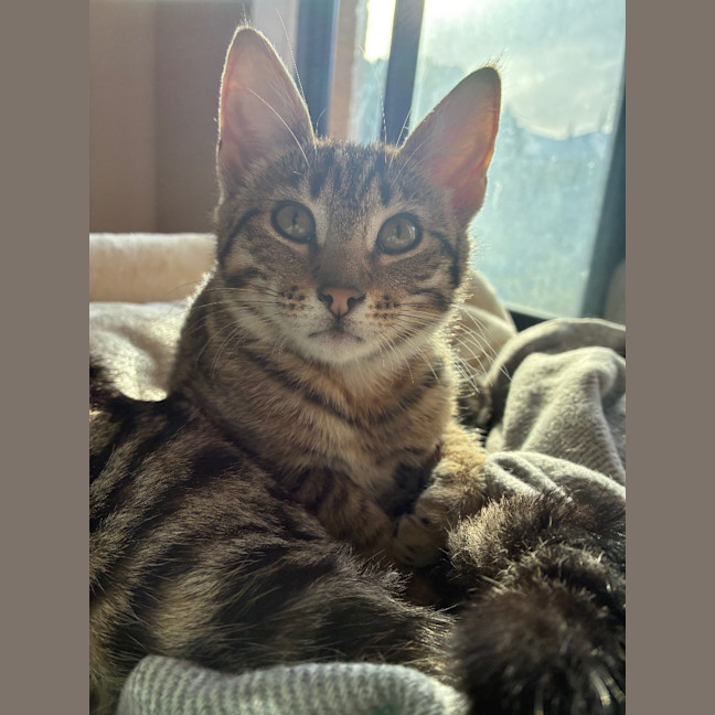 Photo of Faye