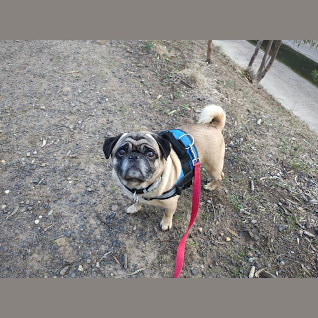 Photo of Tex